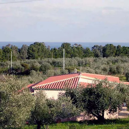 Degli Ulivi E Delle Rose *