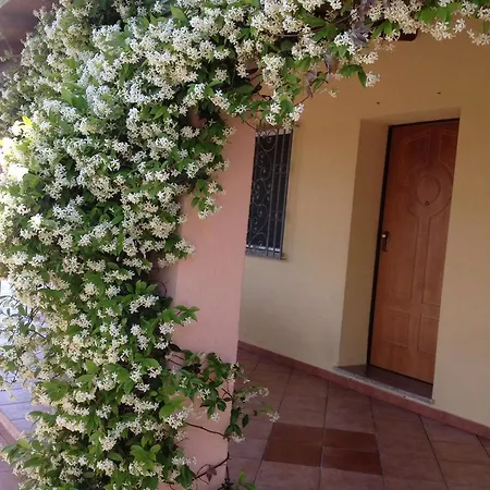 Degli Ulivi E Delle Rose * Orosei