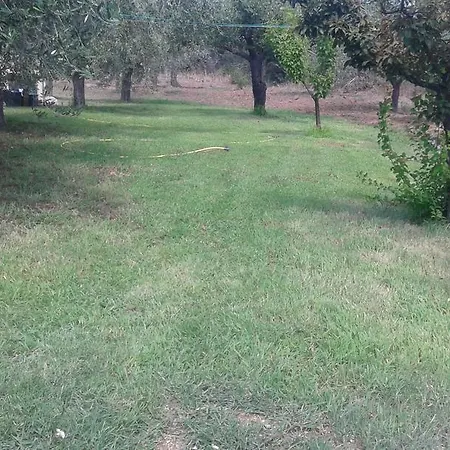 Degli Ulivi E Delle Rose Holiday home Orosei
