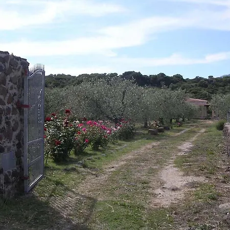 Degli Ulivi E Delle Rose Holiday home