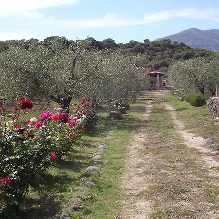 Holiday home Degli Ulivi E Delle Rose