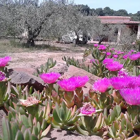 Degli Ulivi E Delle Rose Holiday home Orosei