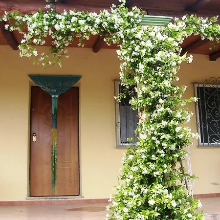 Holiday home Degli Ulivi E Delle Rose Orosei